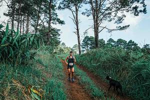 BIB: 
                            <button type="button" onclick="openModal(25653398)" class="btn btn-primary btn-sm float-right btn-popup" data-toggle="modal" data-target=".modal-high-quality">
                        <i class="fas fa-shopping-cart"></i> Add to Cart
                    </button>
                                            <button type="button" onclick="isThisMe(25653398, true)" class="btn btn-success btn-sm float-right btn-popup btn-isme hidden" data-toggle="tooltip" data-placement="bottom" title="นี่คือรูปของคุณใช่ไหม คลิกที่นี่เพื่อเอาเข้าอัลบั้ม">
                        <i class="fas fa-plus"></i> Add to album
                    </button>
                    <button type="button" onclick="isThisMe(25653398, false)" class="btn btn-warning btn-sm float-right btn-popup btn-isnotme hidden">
                        <i class="fas fa-ban"></i> Remove from album
                    </button>